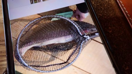 フィッシングレイクたかみや 釣果