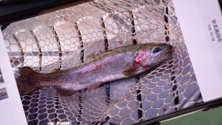 フィッシングレイクたかみや 釣果