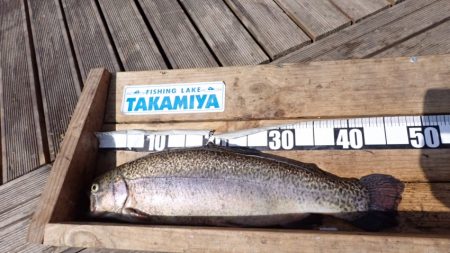 フィッシングレイクたかみや 釣果