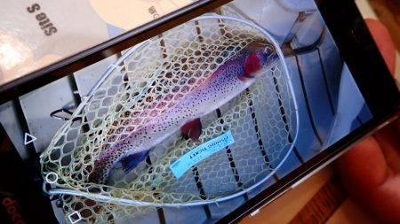 フィッシングレイクたかみや 釣果