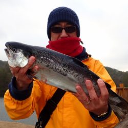 フィッシングレイクたかみや 釣果