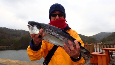 フィッシングレイクたかみや 釣果