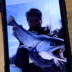 フィッシングレイクたかみや 釣果
