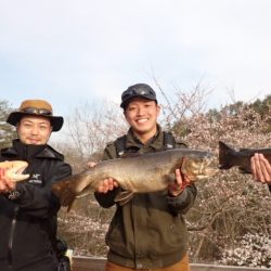 フィッシングレイクたかみや 釣果