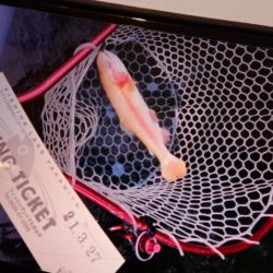 フィッシングレイクたかみや 釣果