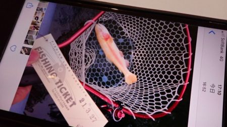 フィッシングレイクたかみや 釣果