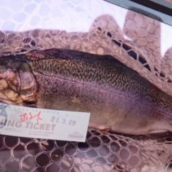 フィッシングレイクたかみや 釣果