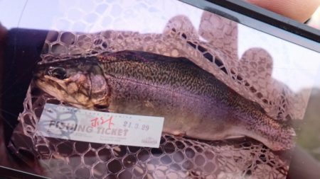 フィッシングレイクたかみや 釣果