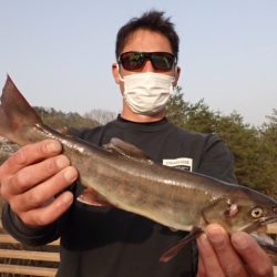 フィッシングレイクたかみや 釣果