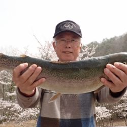 フィッシングレイクたかみや 釣果