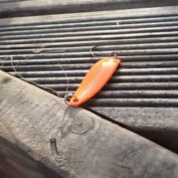 フィッシングレイクたかみや 釣果