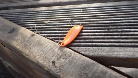 フィッシングレイクたかみや 釣果