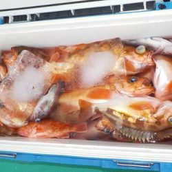 第二むつ漁丸 釣果