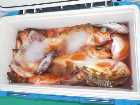 第二むつ漁丸 釣果