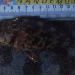 釣りデビュー100日目