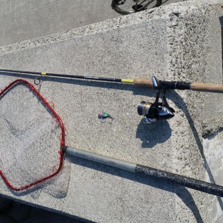 プチsalt water game