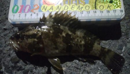 釣りデビュー100日目