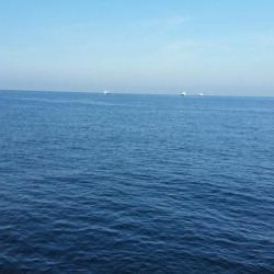 プチsalt water game