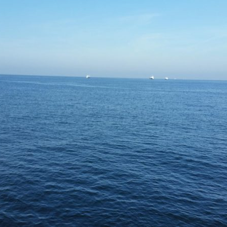 プチsalt water game