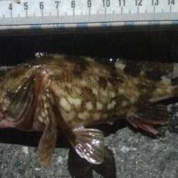 釣りデビュー100日目