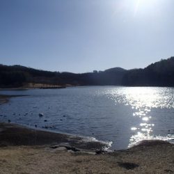 志高湖フィッシング 釣果