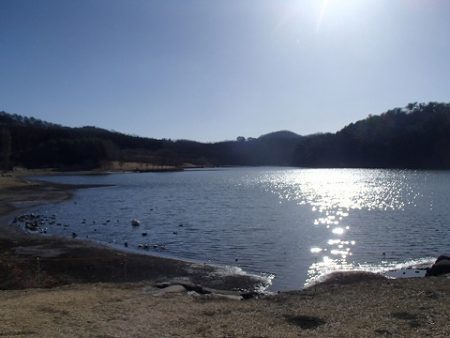 志高湖フィッシング 釣果