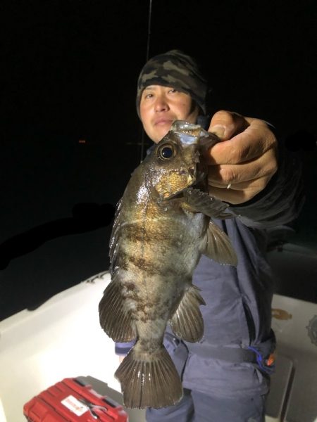 Magic（マジック） 釣果