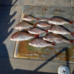 FISHING RISKY 釣果