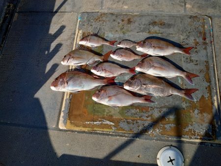 FISHING RISKY 釣果