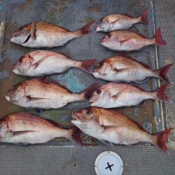 FISHING RISKY 釣果