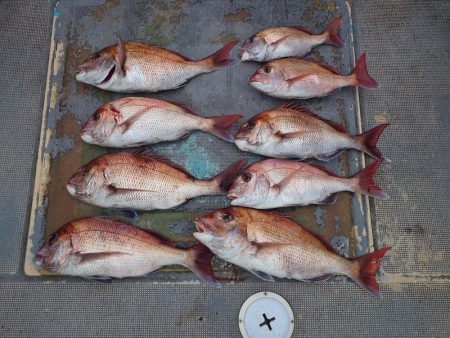 FISHING RISKY 釣果