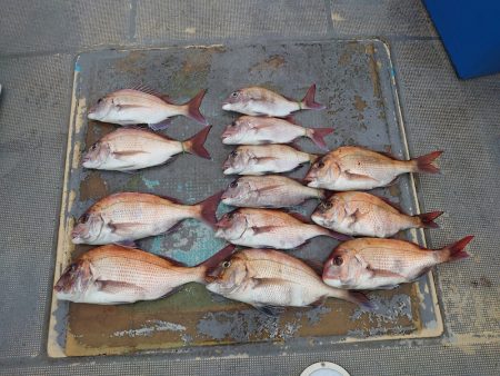 FISHING RISKY 釣果