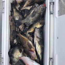 フィッシング キッタカ 釣果