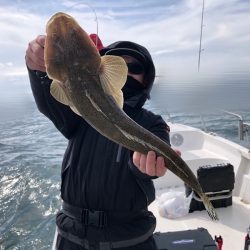 Magic(マジック) 釣果