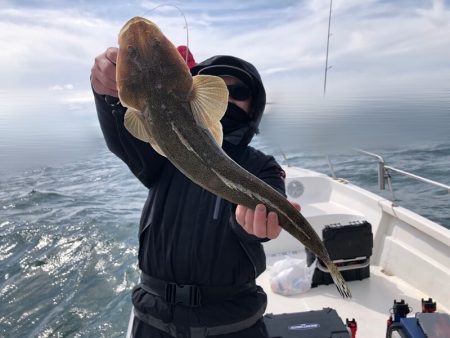 Magic(マジック) 釣果