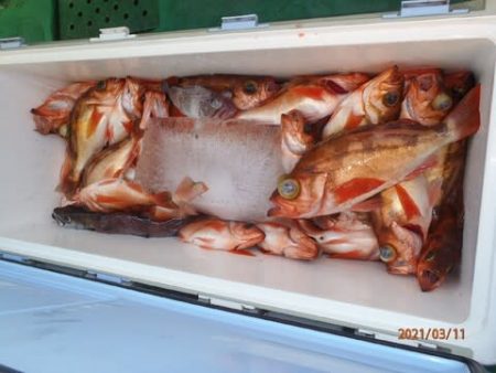 第二むつ漁丸 釣果