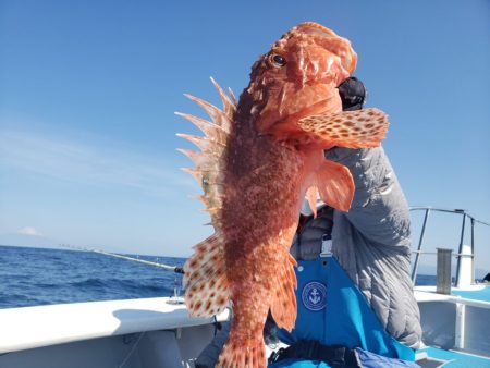 舵丸 釣果