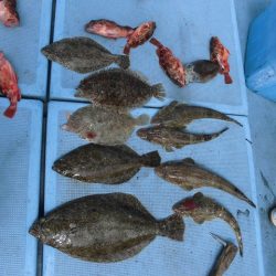 十八宝洋丸 釣果