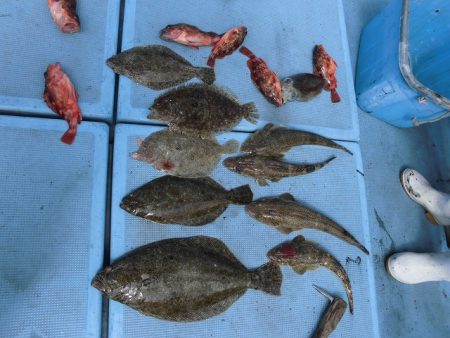 十八宝洋丸 釣果