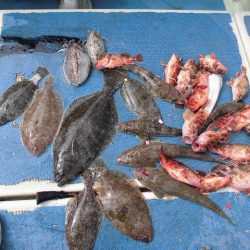 十八宝洋丸 釣果