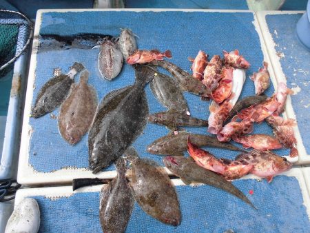 十八宝洋丸 釣果