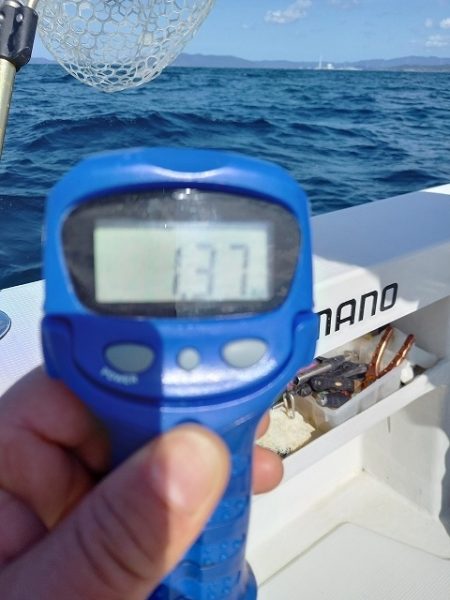 フィッシングボートACE(エース) 釣果