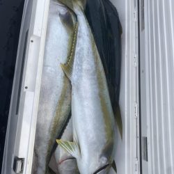 海龍丸（福岡） 釣果