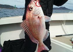 愛裕南丸 釣果