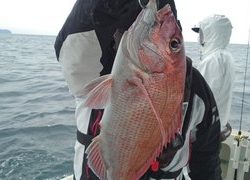 愛裕南丸 釣果