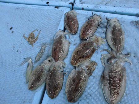 十八宝洋丸 釣果