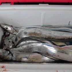 十八宝洋丸 釣果