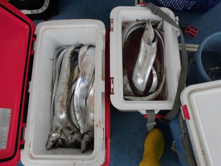 十八宝洋丸 釣果