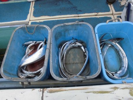 十八宝洋丸 釣果