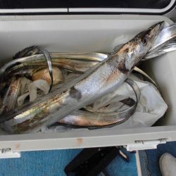 十八宝洋丸 釣果